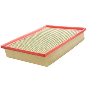 Nunc congue dui nec...