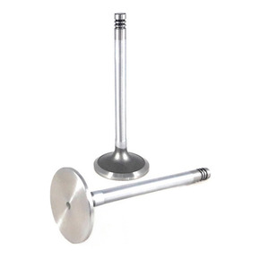 Nunc congue dui nec...