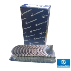 Nunc congue dui nec...