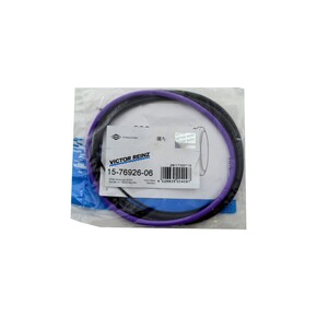 Nunc congue dui nec...