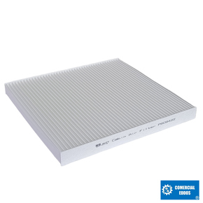 Nunc congue dui nec...