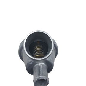 Nunc congue dui nec...