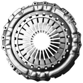 Nunc congue dui nec...