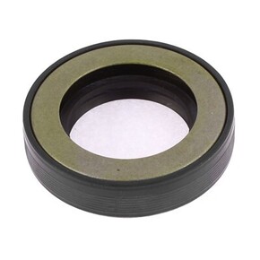 Nunc congue dui nec...