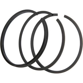 Nunc congue dui nec...