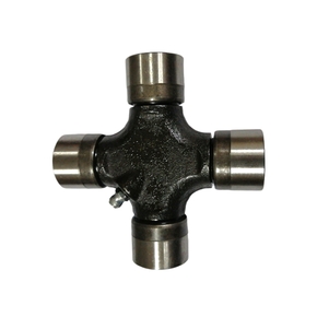 Nunc congue dui nec...