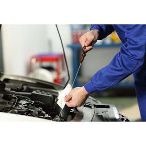 Nunc congue dui nec...