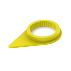 Nunc congue dui nec...