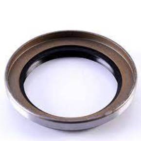 Nunc congue dui nec...