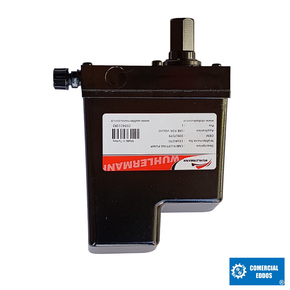 Nunc congue dui nec...