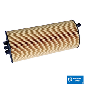 Nunc congue dui nec...