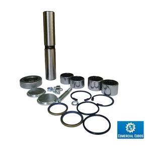 Nunc congue dui nec...