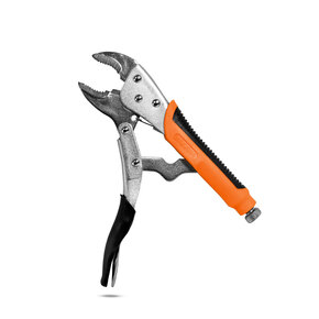 Nunc congue dui nec...