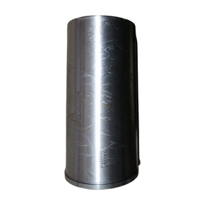 Nunc congue dui nec...