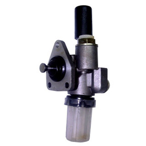 Nunc congue dui nec...