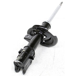 Nunc congue dui nec...