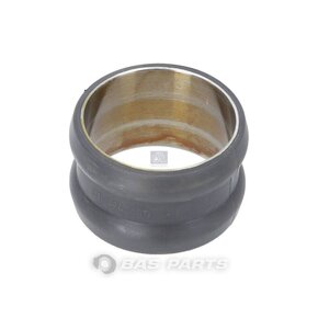 Nunc congue dui nec...