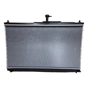 Nunc congue dui nec...