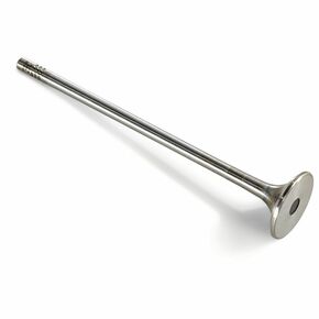 Nunc congue dui nec...