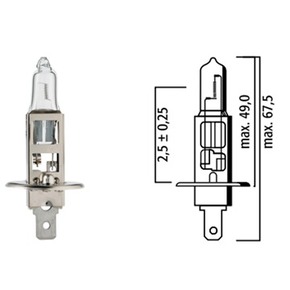 Nunc congue dui nec...
