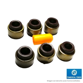 Nunc congue dui nec...