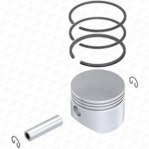 Nunc congue dui nec...