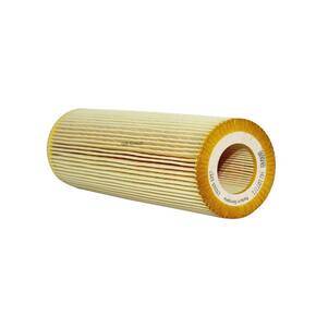 Nunc congue dui nec...