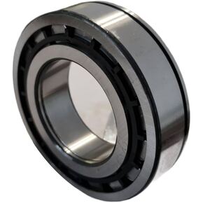 Nunc congue dui nec...