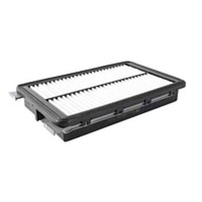 Nunc congue dui nec...