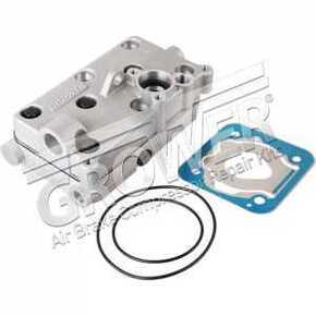 Nunc congue dui nec...