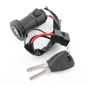 Nunc congue dui nec...