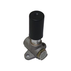 Nunc congue dui nec...