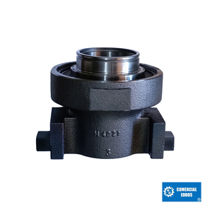 Nunc congue dui nec...