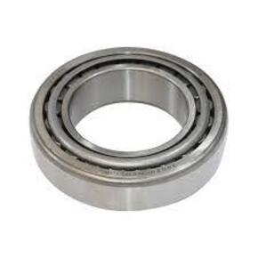 Nunc congue dui nec...