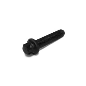 Nunc congue dui nec...