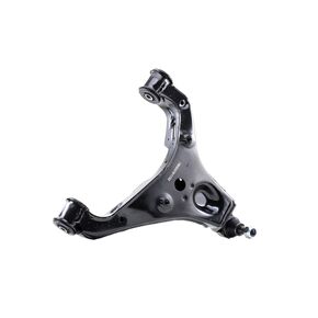 Nunc congue dui nec...