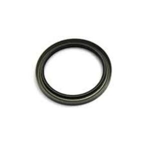 Nunc congue dui nec...