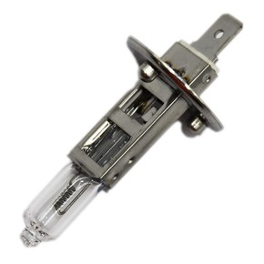 Nunc congue dui nec...