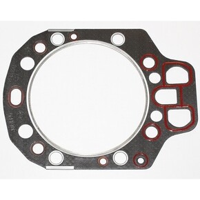 Nunc congue dui nec...