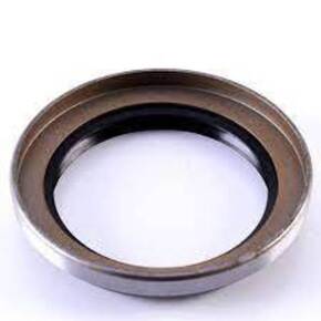 Nunc congue dui nec...