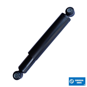 Nunc congue dui nec...