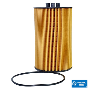 Nunc congue dui nec...