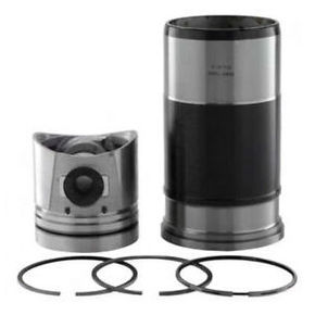 Nunc congue dui nec...