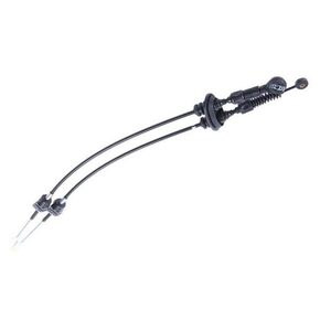 Nunc congue dui nec...