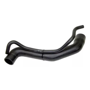 Nunc congue dui nec...