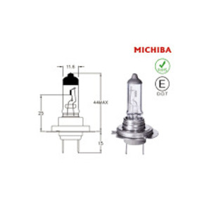 Nunc congue dui nec...