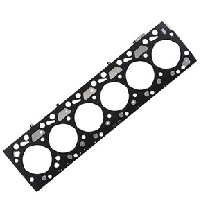 Nunc congue dui nec...