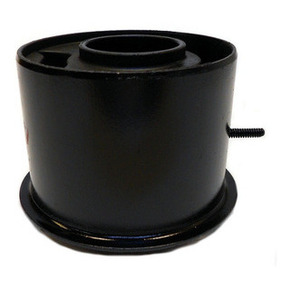 Nunc congue dui nec...