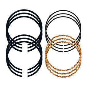 Nunc congue dui nec...