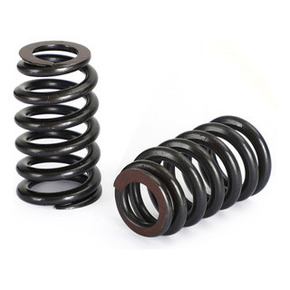 Nunc congue dui nec...